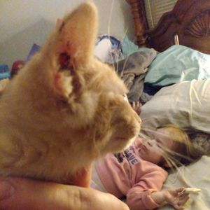 Meet your Posher, Damien